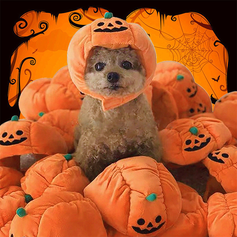 Cute Pumpkin Hat Pet Animal Costume