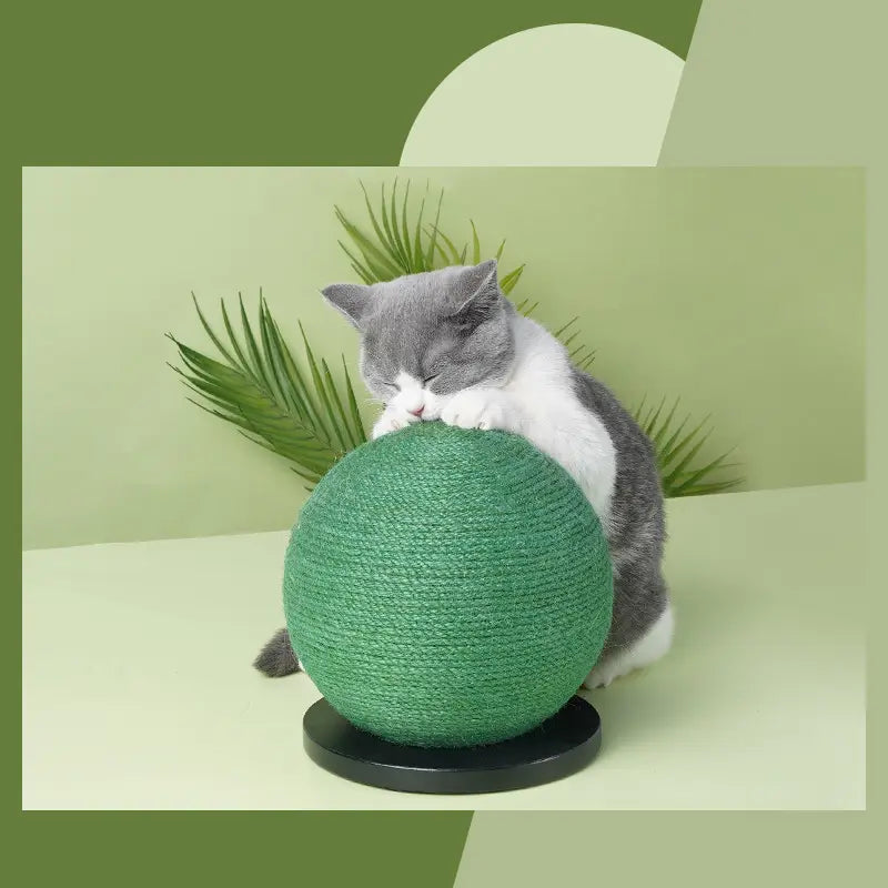 CactiClaw: Cactus-Shaped Cat Scratching Ball Toy