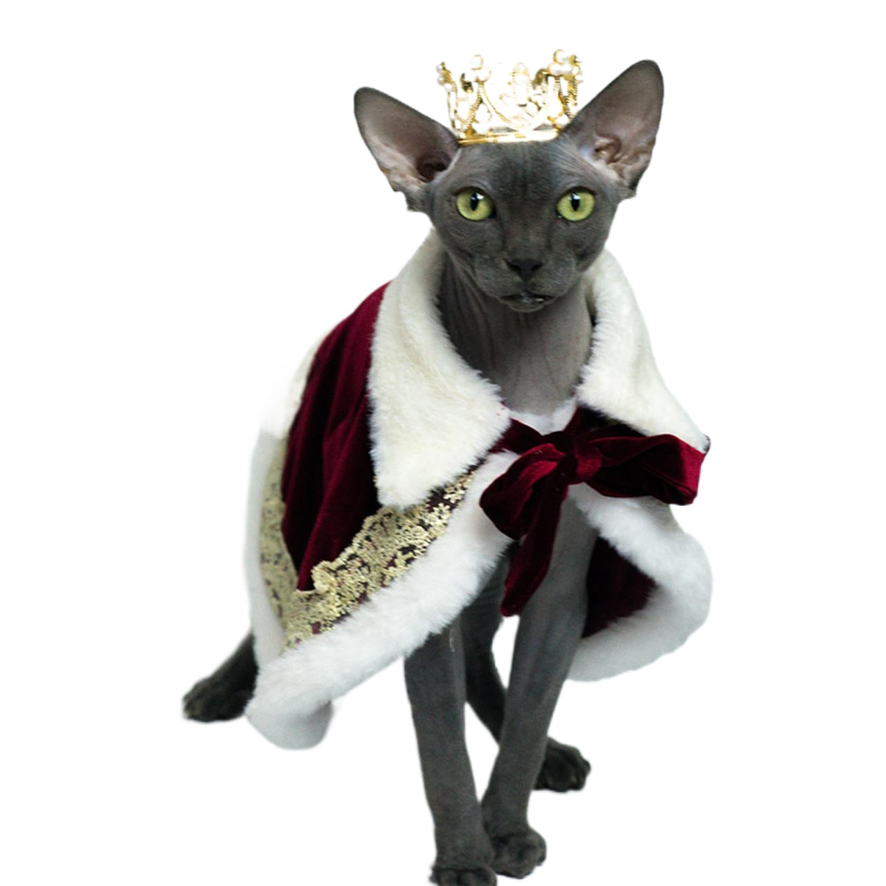 Royal King Cape for Cats and Dogs - Majestic Pet Costume