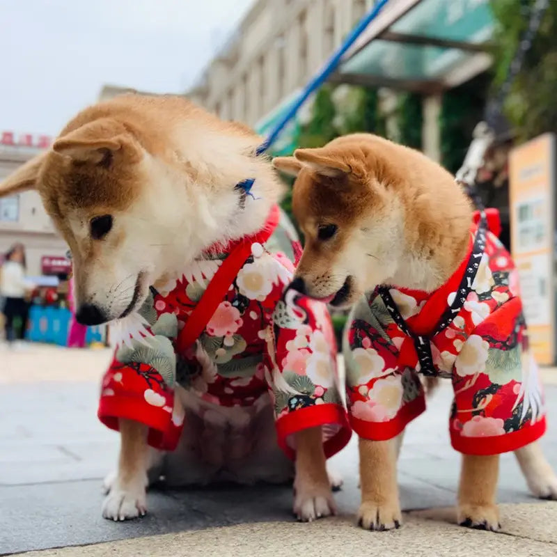 Fashion Kimono for Pets