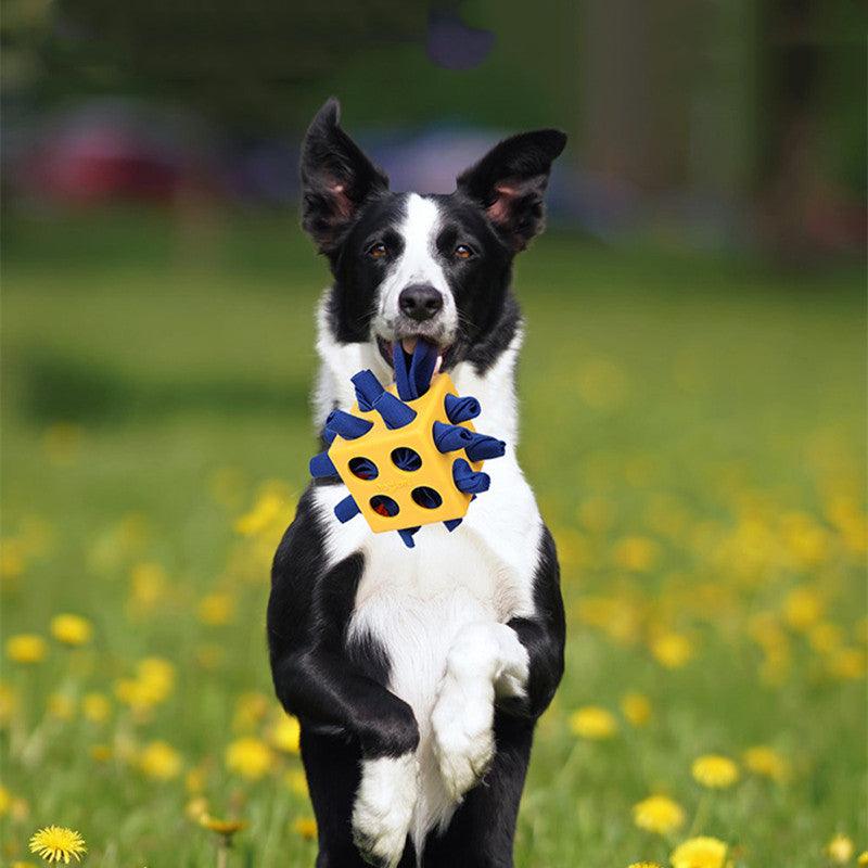 Chew & Learn: Dog Cube Educational Toy - PetPlay Innovations