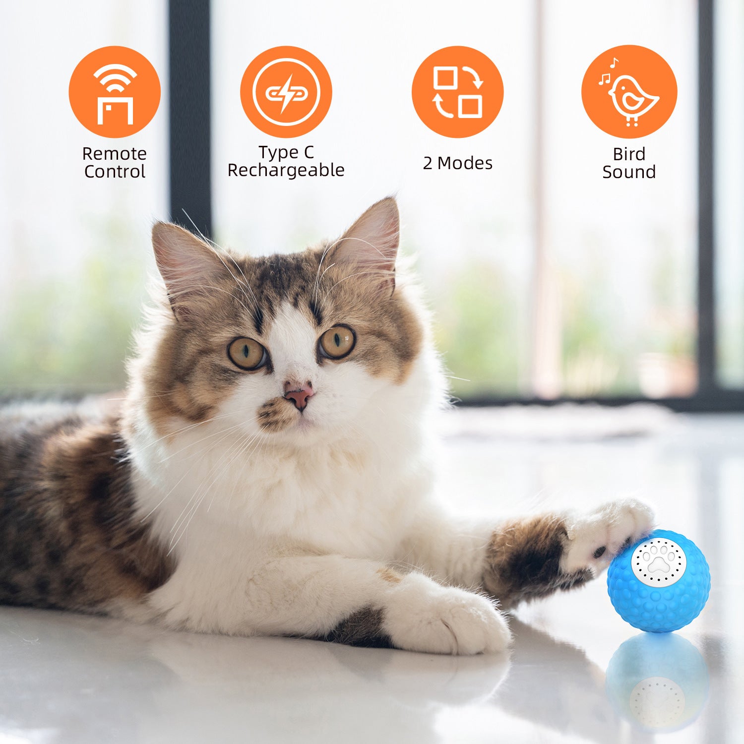 Pet Smart Toy Cat Ball Rolling Ball Sound Teasing Cat Ball Cat Upgrade Remote Control