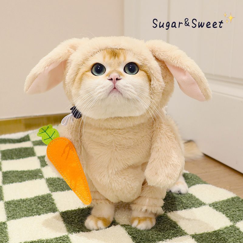 Rabbit Pet Costume