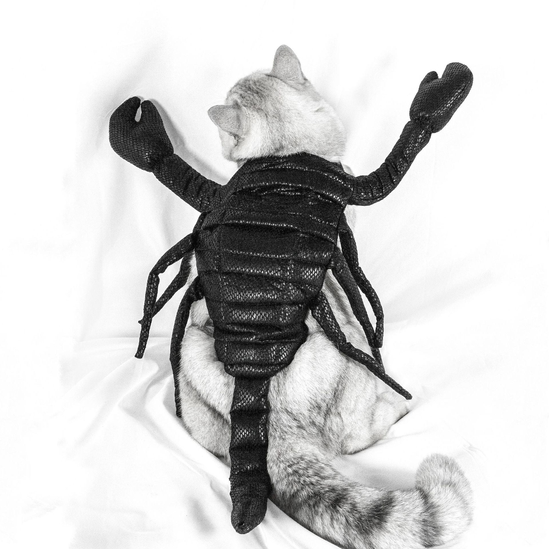 Scorpion Pet Costume