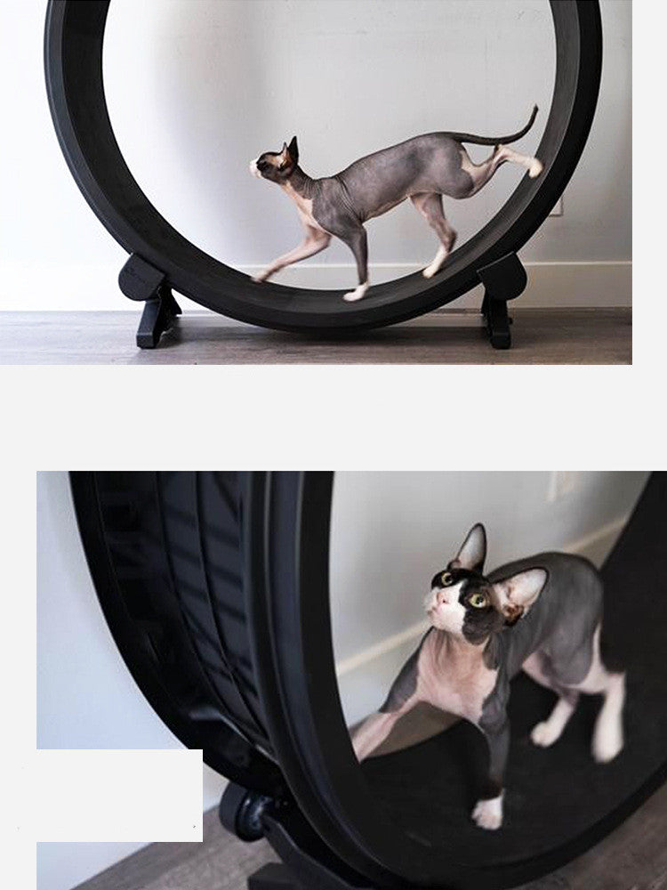 EliteRun: Luxury Pet Cat Running Wheel & Fitness Toy - Cat Running Wheel