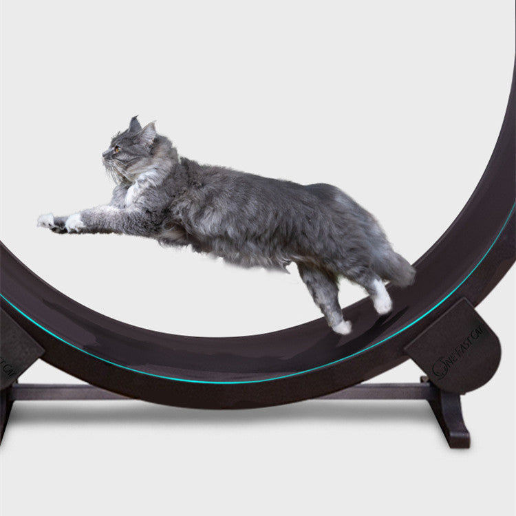 EliteRun: Luxury Pet Cat Running Wheel & Fitness Toy - Cat Running Wheel