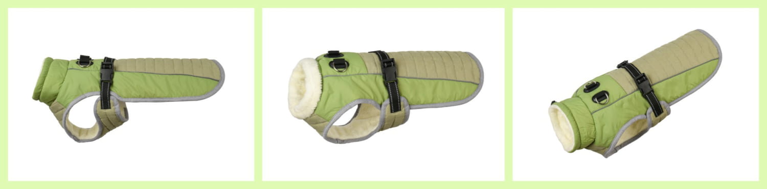 Reflect & Protect: Pet Vest with Reflective Detail