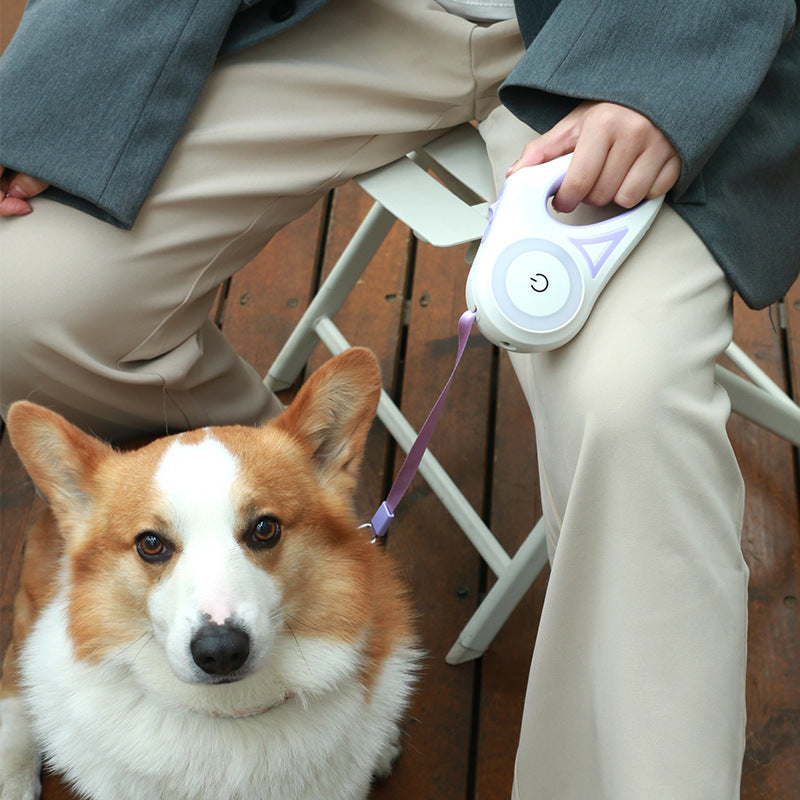 FlexiFreedom: Retractable Dog Leash with Spotlight Collar