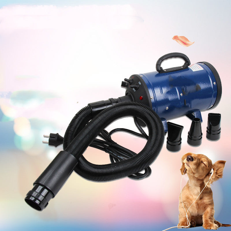 FurBlaster: 2800W Pet Hair Dryer