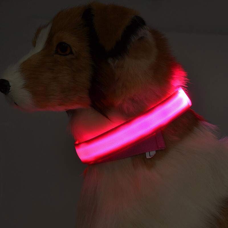 GlowPaws: LED Luminous Pet Collar for Night Safety