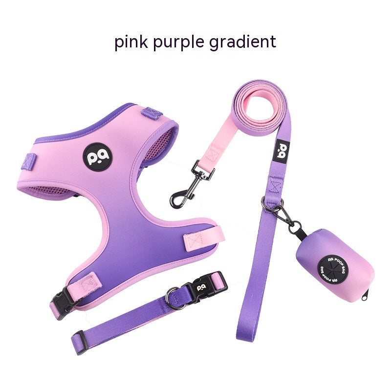 GradientGrip: Dog Rope Strap and Collar - Pink Purple Gradient Color / L