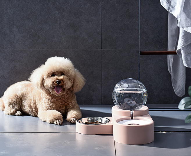 HydroNibble Duo: Pet Water Bowl With Food Bowl