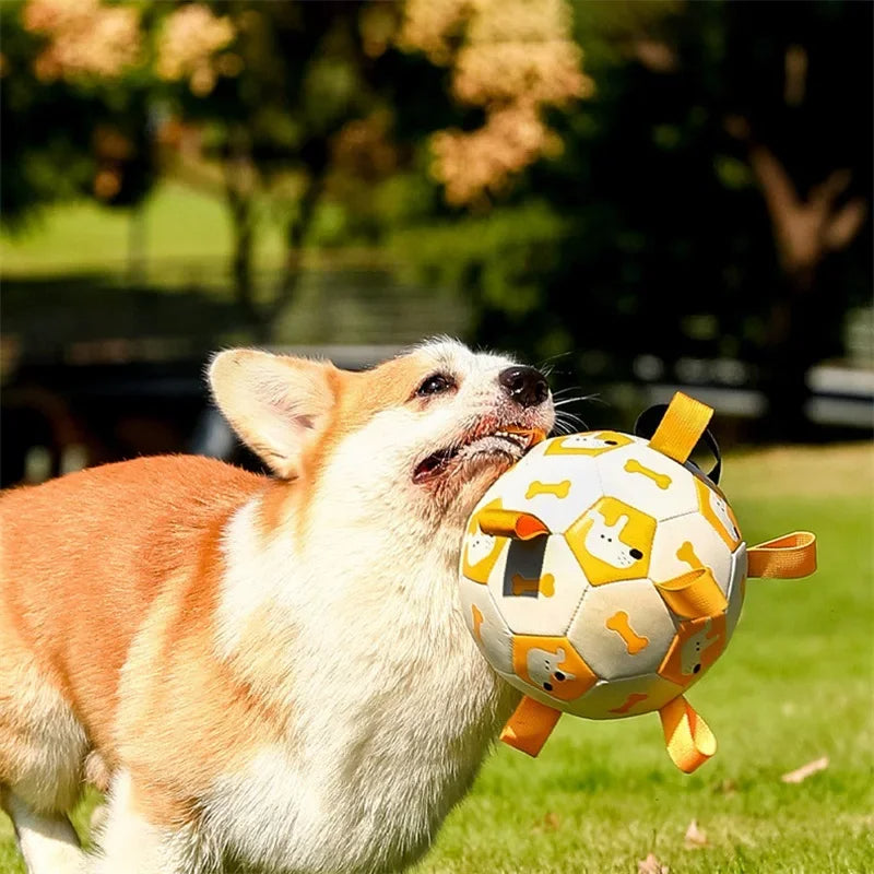 Kick & Play: Interactive Football for Dogs