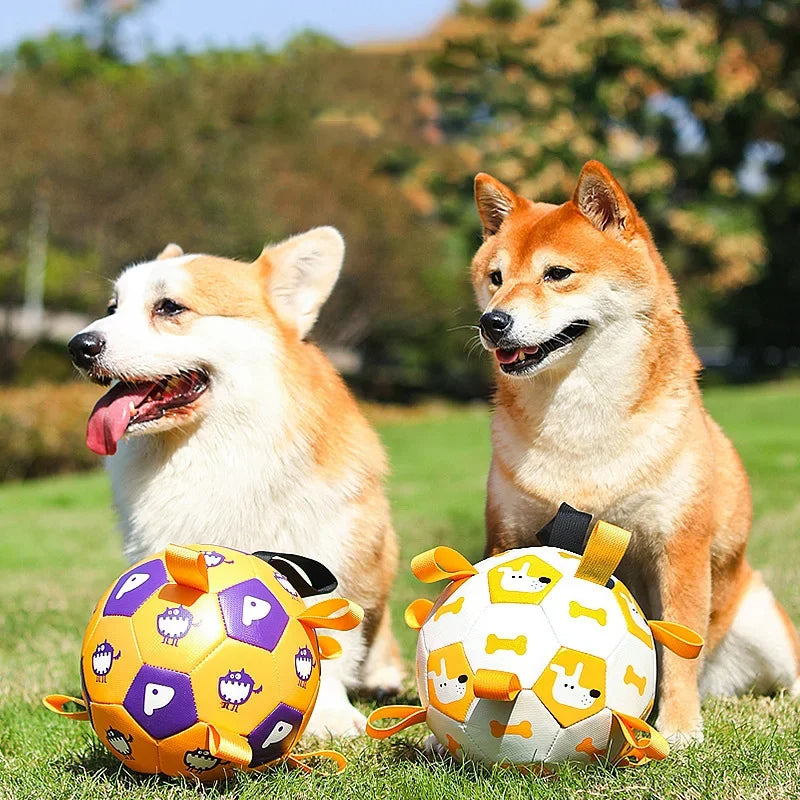 Kick & Play: Interactive Football for Dogs