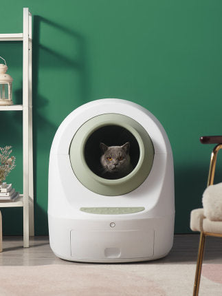 Next-Gen Ease: Electric Smart Fully Enclosed Cat Litter Box - Green / 220V