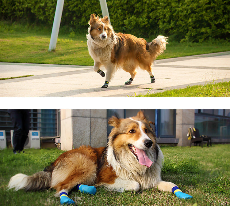 PawGuard: Waterproof Dog Booties