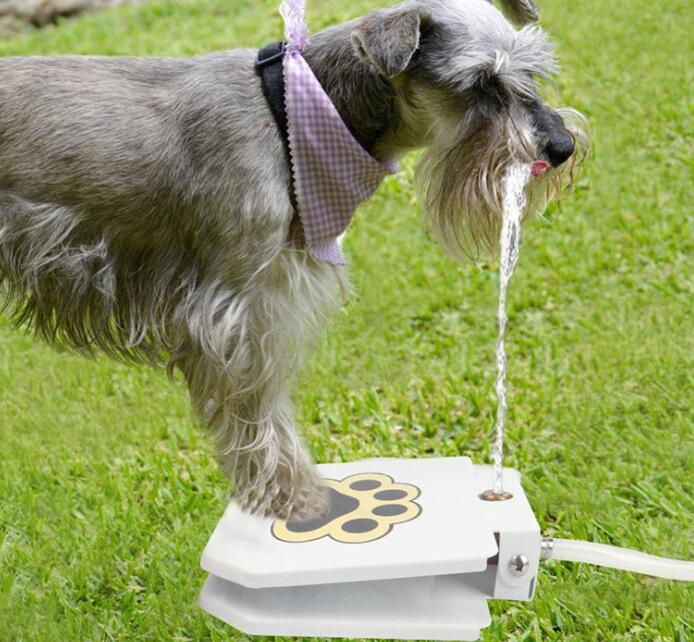 Paws & Play: Outdoor Pet Step Water Sprinkler