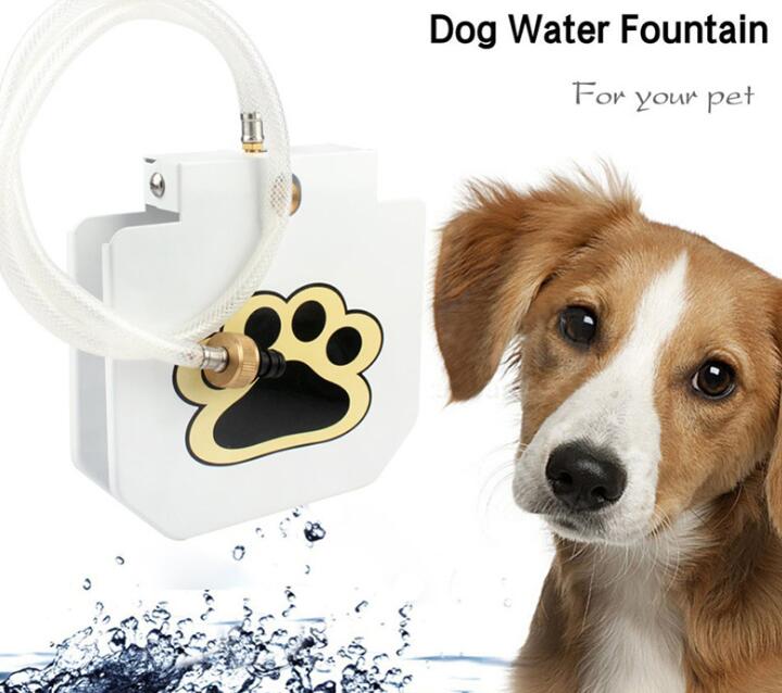 Paws & Play: Outdoor Pet Step Water Sprinkler