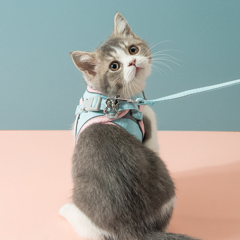 PurrHarness: Cat Traction Rope and Chest Strap