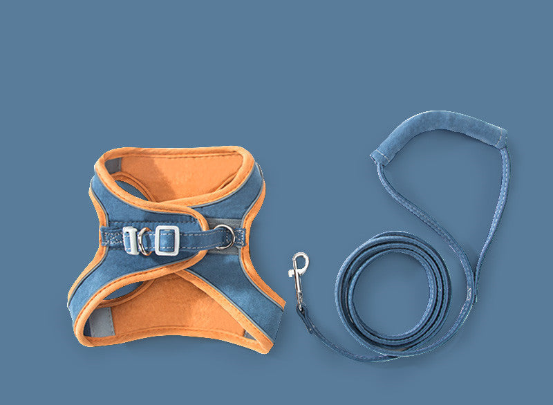 PurrHarness: Cat Traction Rope and Chest Strap - Orange blue / 2XL