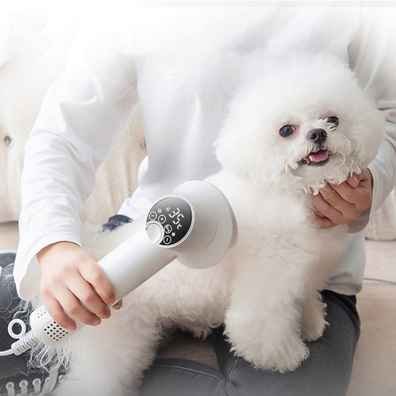 Smart Pet Hair Dryer for Grooming Perfection