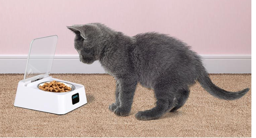 SmartServe: Automatic Pet Schedule Feeder