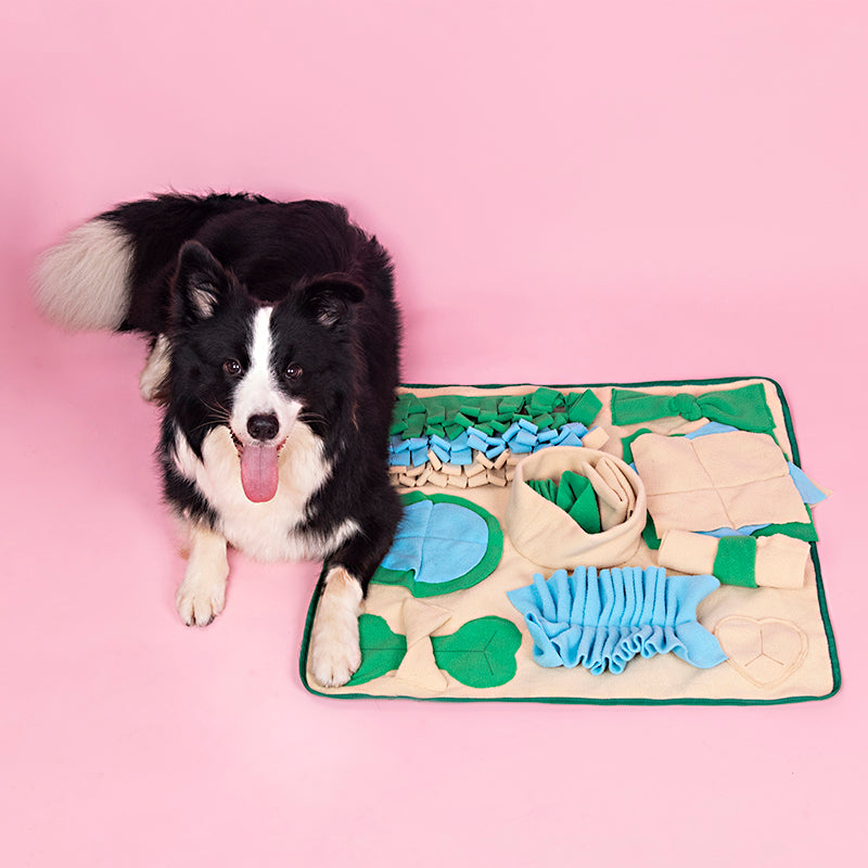 SniffQuest: Snuffle Mat for Dogs