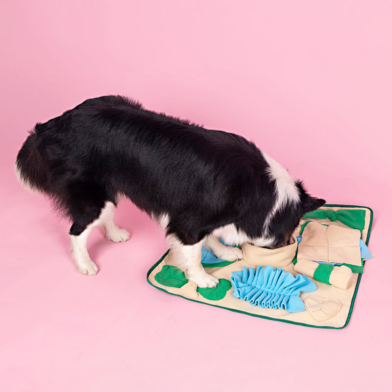 SniffQuest: Snuffle Mat for Dogs