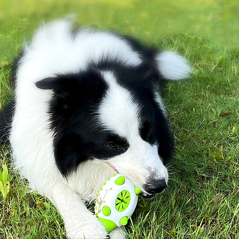 Spiky Buddy: Hedgehog-Inspired Multi-Function Dog Toy