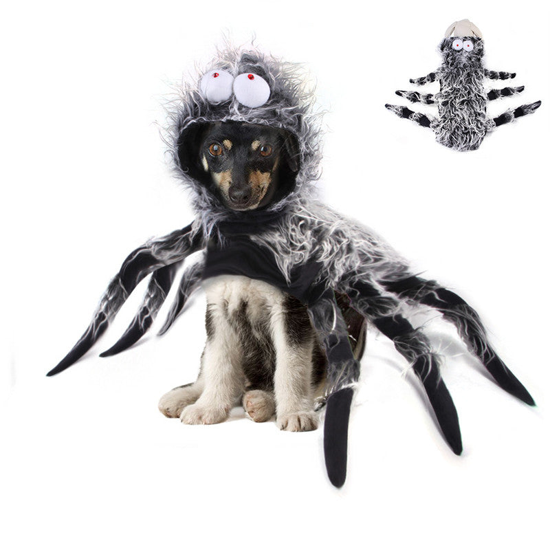 Spooky Spider Costume for Cats and Dogs - 2XL