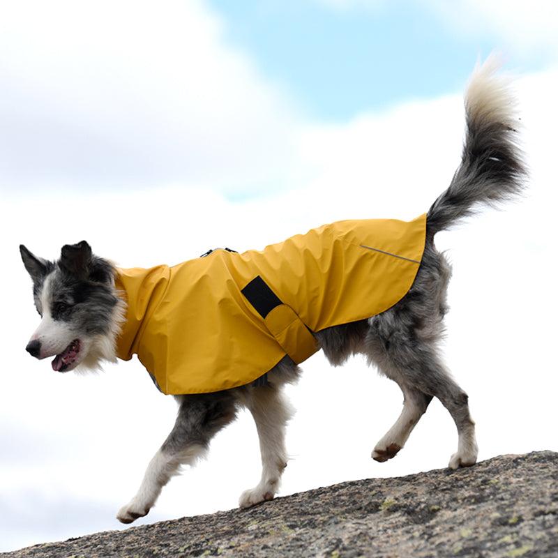 Sporty Dogs and Cats Waterproof and Windproof Raincoat - PetPlay Innovations