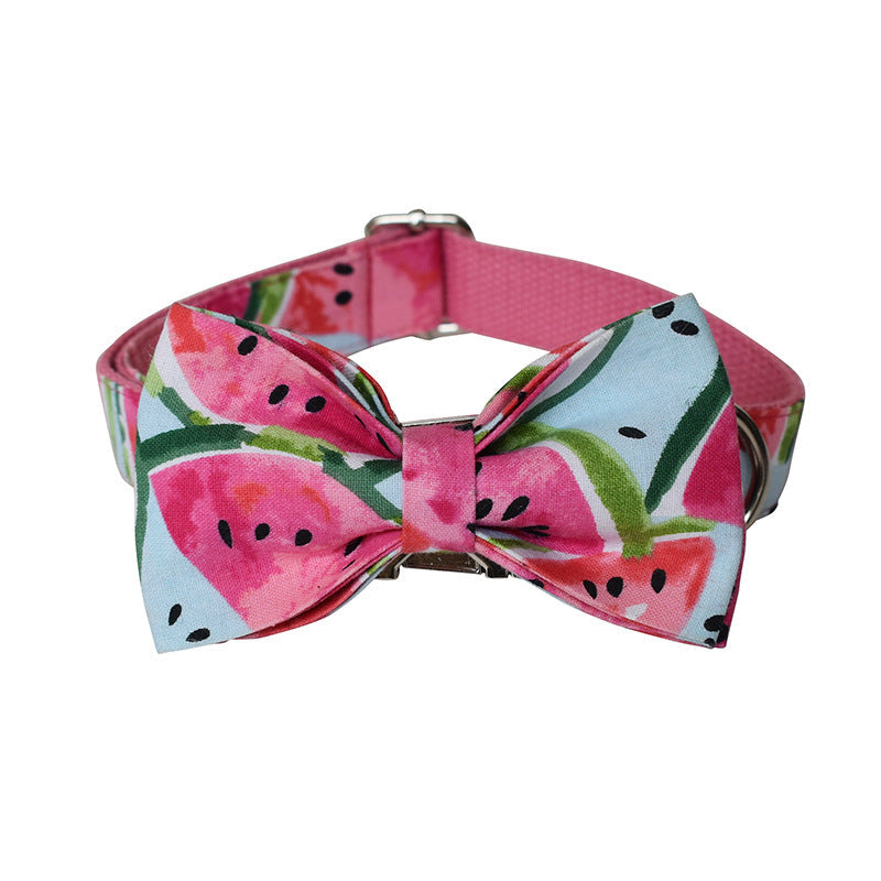 Watermelon Dog Collar and Tow Rope