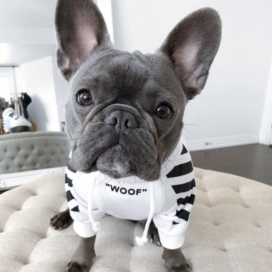 ’Woof’ Streetwear Hoodie for Cats and Dogs